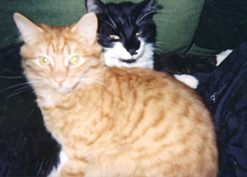 Oliver and Orlando photo (c) The Bacchanals
