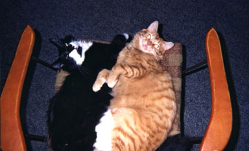 Oliver and Orlando photo (c) The Bacchanals